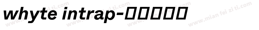whyte intrap字体转换